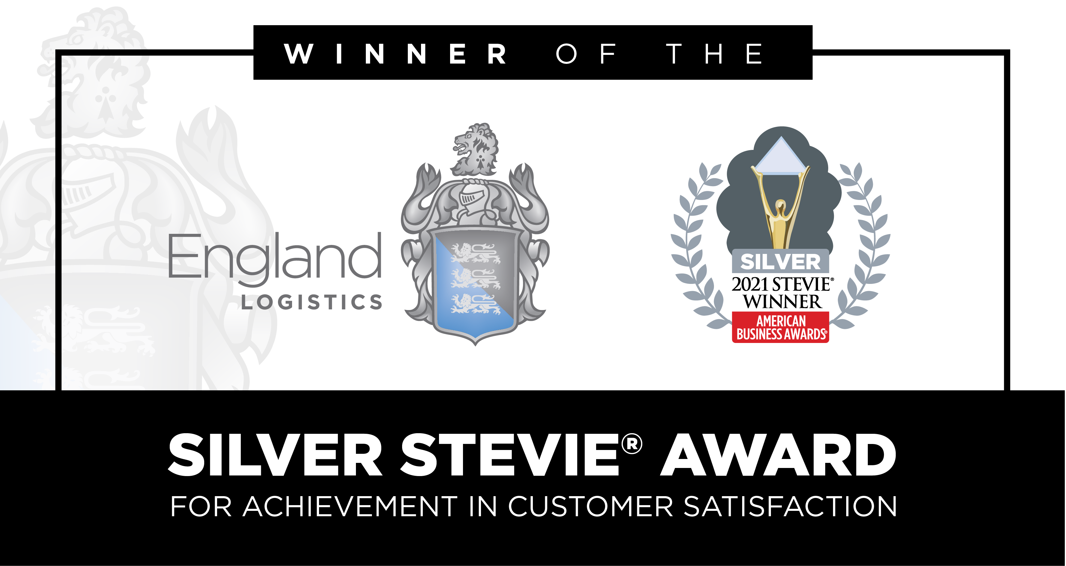 Stevie Award Winner Customer Satisfaction 2021